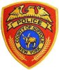 SCPDpatch
