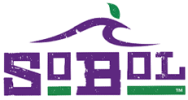 logo (3)